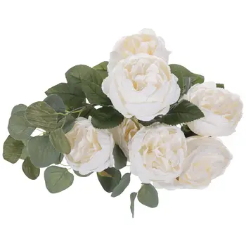 cabbage rose white